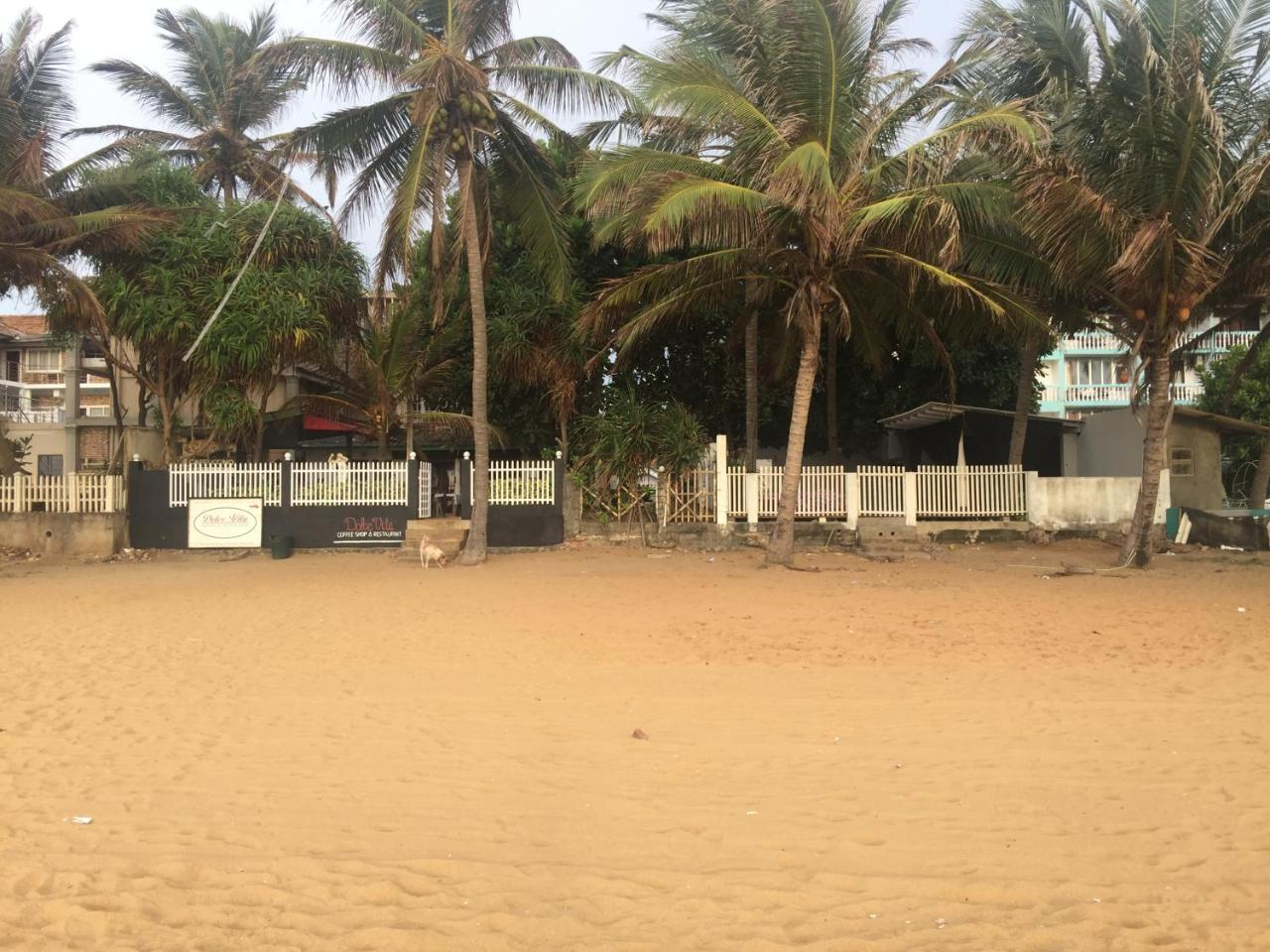 Sea Sands Beach Hostel Negombo Exterior photo